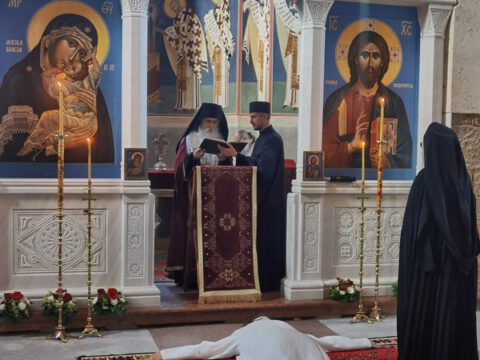 IMG_20230610_185743_resize