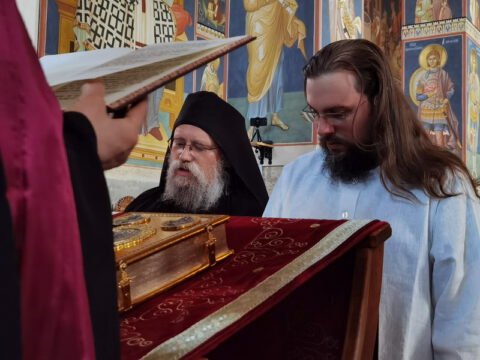 IMG_20230610_190100_resize