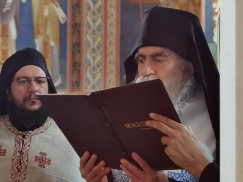 IMG_20230610_190143_resize