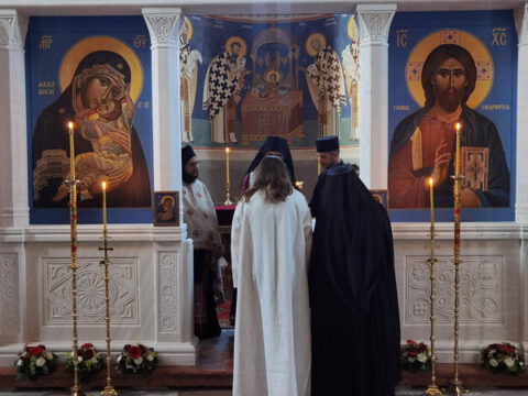 IMG_20230610_190601_resize