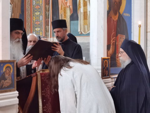 IMG_20230610_190801_resize