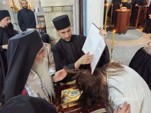 IMG_20230610_191235_resize