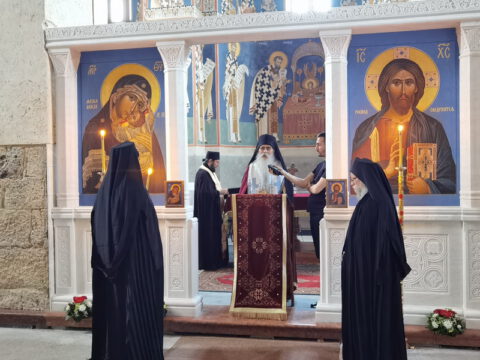 IMG_20230610_193125_resize