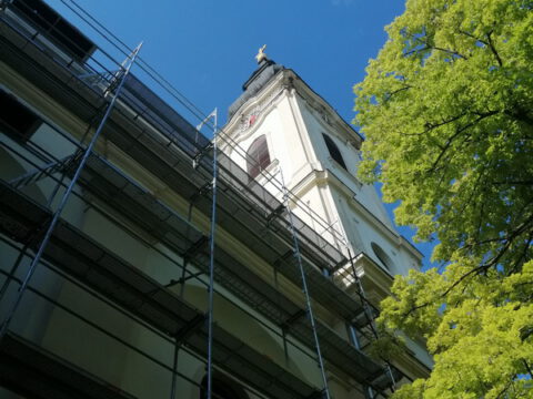 IMG_20230613_082918_resize