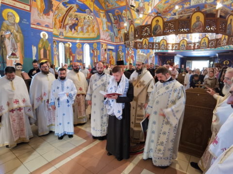 IMG_20230618_084947_resize