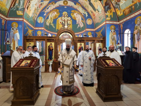 IMG_20230618_085518_resize