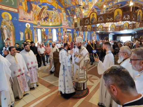 IMG_20230618_090609_resize