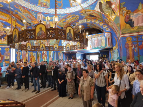 IMG_20230618_091003_resize