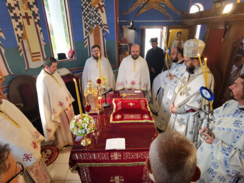 IMG_20230618_091126_resize