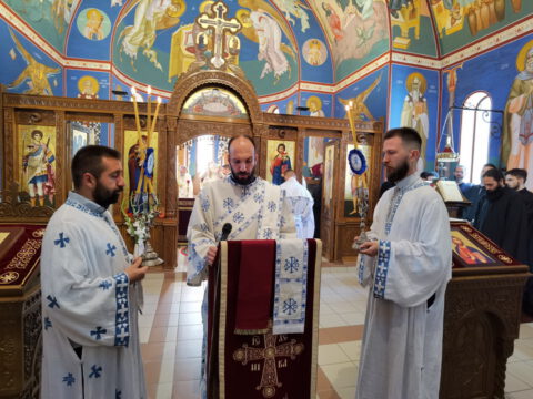 IMG_20230618_092551_resize