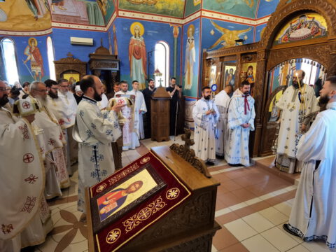 IMG_20230618_095438_resize