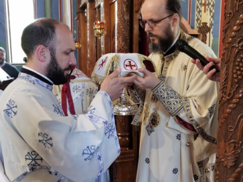 IMG_20230618_095456_resize