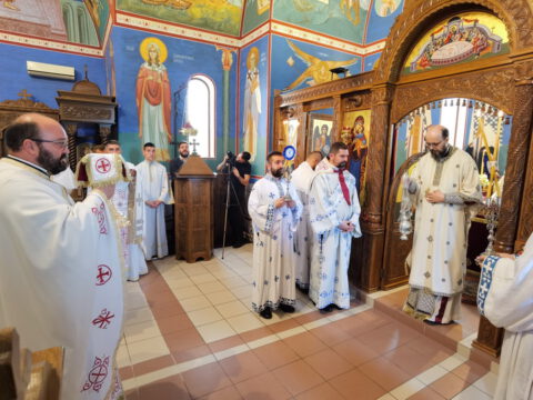 IMG_20230618_095528_1_resize