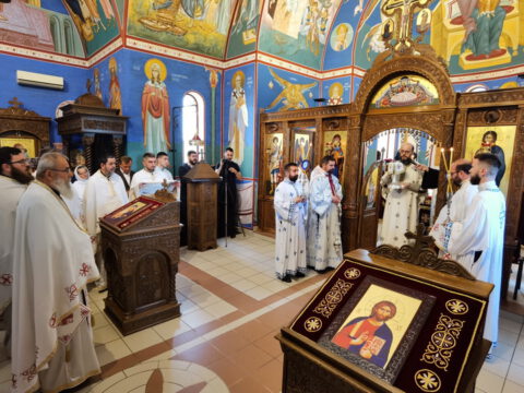 IMG_20230618_095549_resize