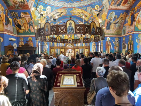 IMG_20230618_100333_resize