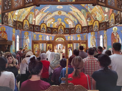 IMG_20230618_100355_resize