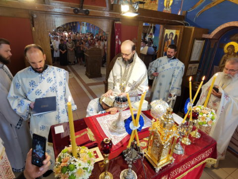 IMG_20230618_102106_resize