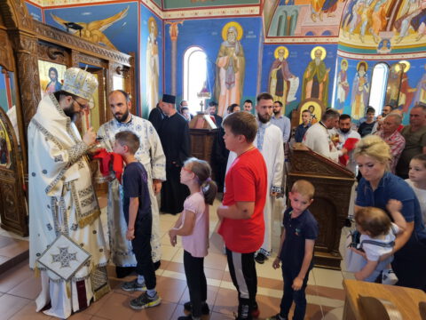 IMG_20230618_104232_resize