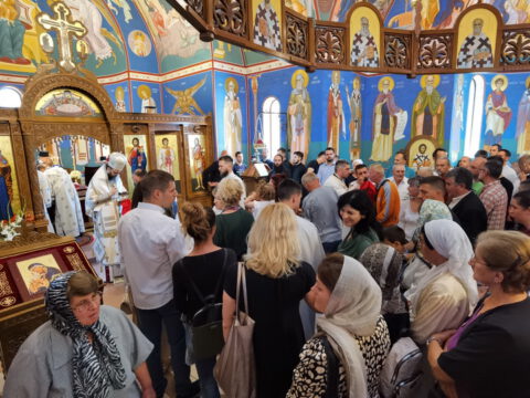 IMG_20230618_104259_resize