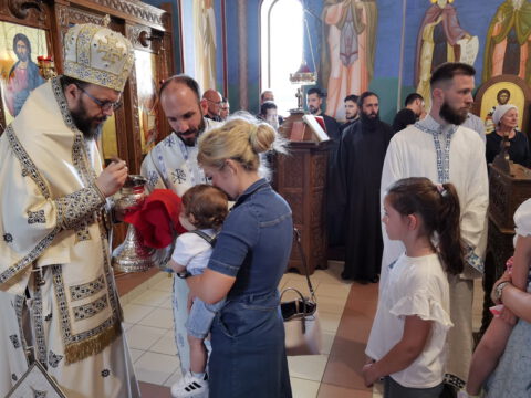 IMG_20230618_104314_resize