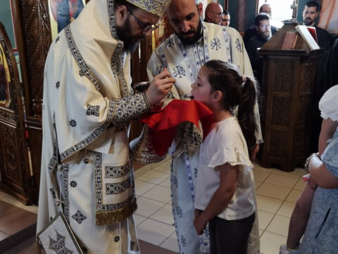 IMG_20230618_104322_resize