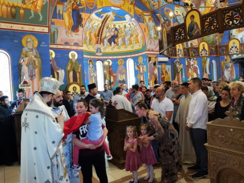 IMG_20230618_104442_resize