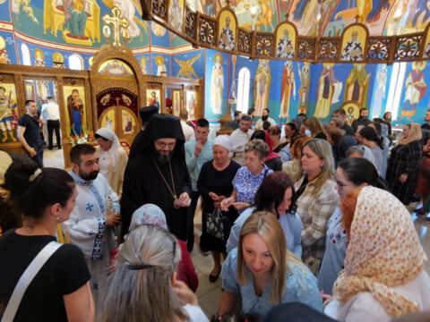 IMG_20230618_111707_resize