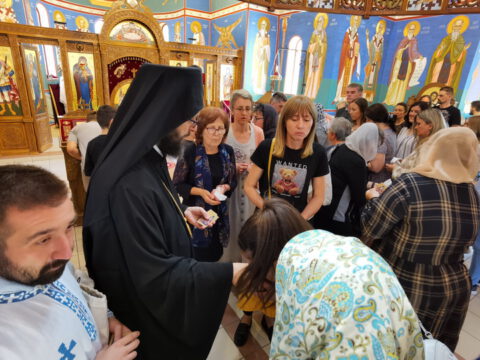 IMG_20230618_111746_1_resize