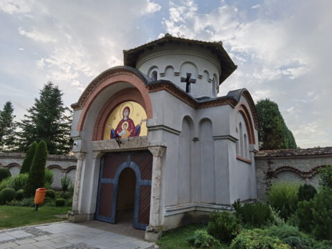 IMG_20230624_060751_resize