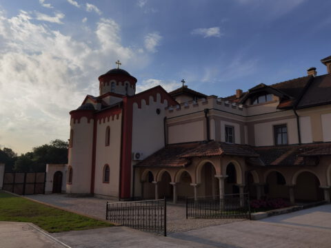 IMG_20230624_062255_resize