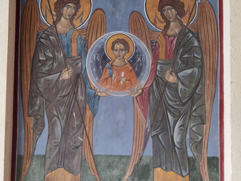 IMG_20230624_062724_resize