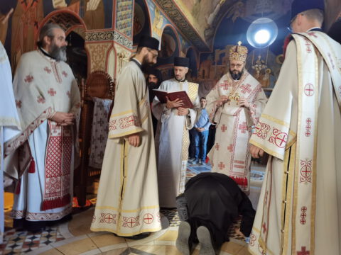 IMG_20230624_065459_resize