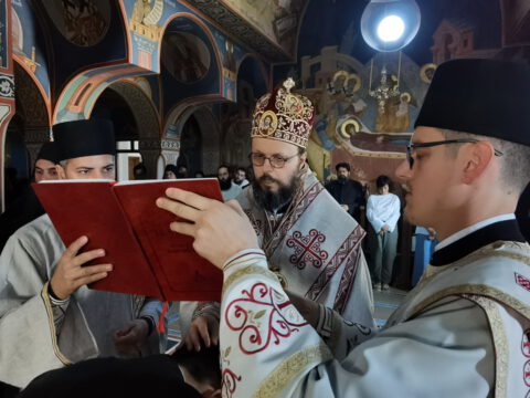 IMG_20230624_065538_resize