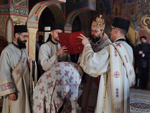 IMG_20230624_065933_resize