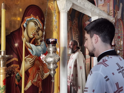 IMG_20230624_073923_resize