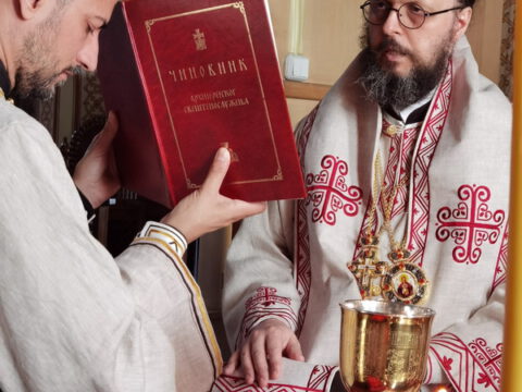 IMG_20230624_080846_resize