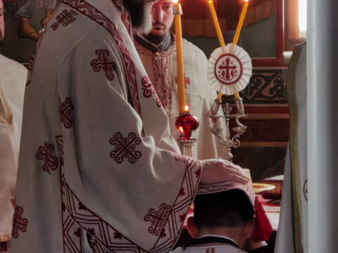 IMG_20230624_081031_resize