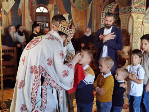 IMG_20230624_083153_resize