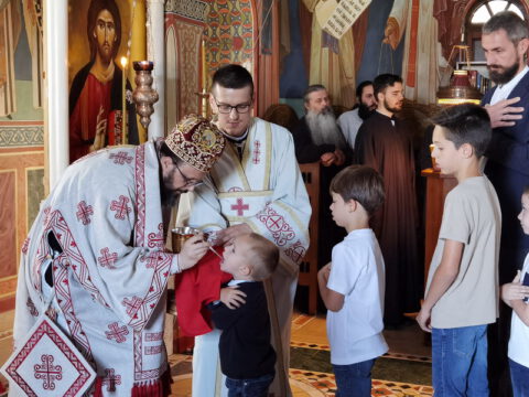 IMG_20230624_083207_resize