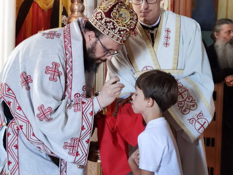 IMG_20230624_083215_resize