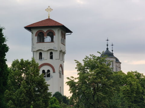 IMG_20230625_064442_resize