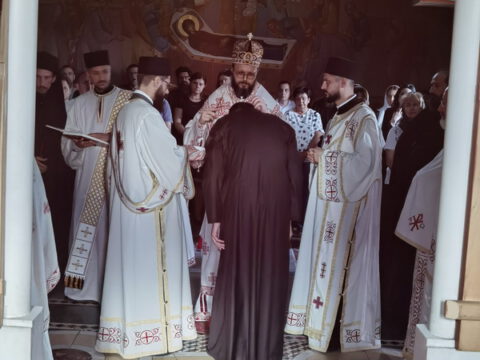 IMG_20230625_070945_resize