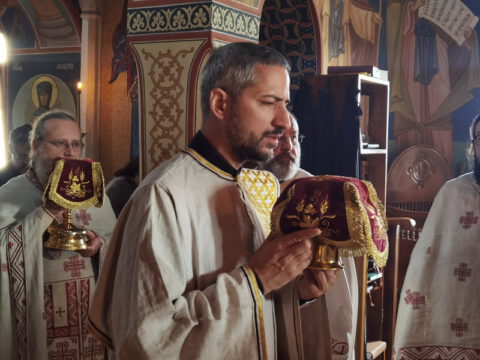 IMG_20230625_081531_resize