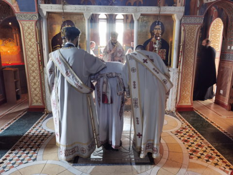 IMG_20230625_083233_resize