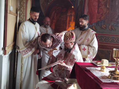 IMG_20230625_083313_resize