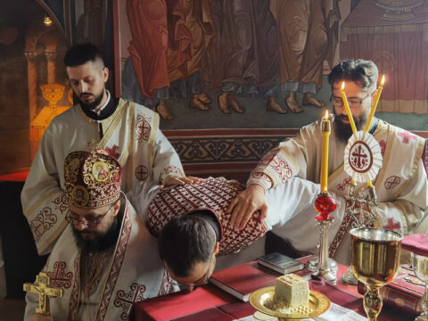 IMG_20230625_083401_resize