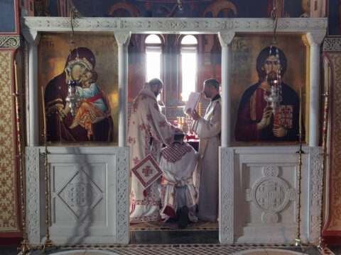 IMG_20230625_083740_resize