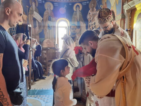 IMG_20230625_085924_resize