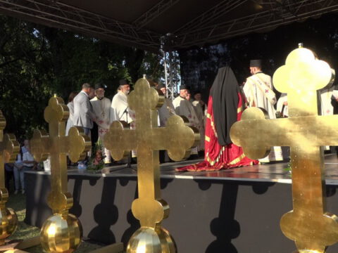 viber_slika_2023-06-04_21-16-22-512_resize