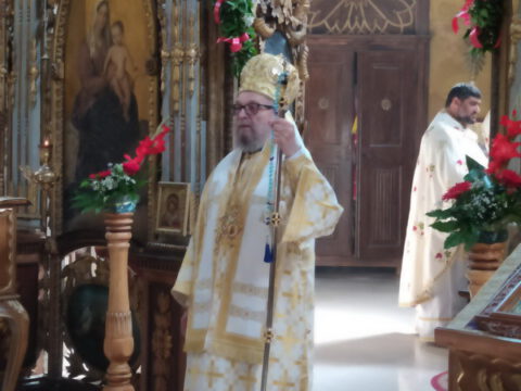 1689175418867_resize